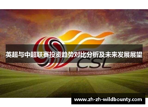 英超与中超联赛投资趋势对比分析及未来发展展望