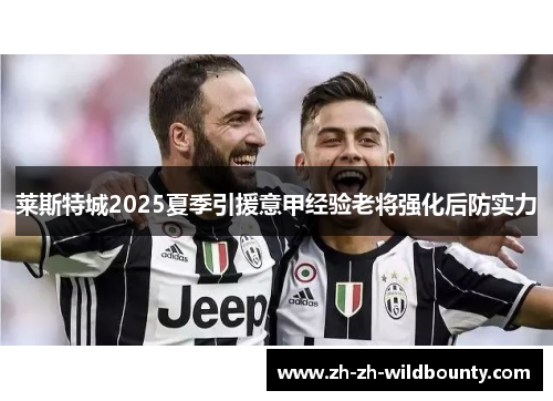 莱斯特城2025夏季引援意甲经验老将强化后防实力